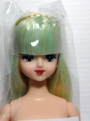 리카짱 캐슬 오타노시미 인형 초대 제니