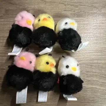 삐요리나 무당벌레