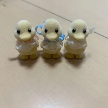 레어 단종 오리