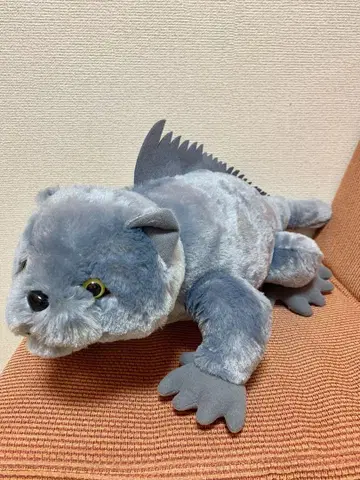 나조파고스 섬 브리티시 쇼트 헤어 이구아나 BIG 봉제 인형
