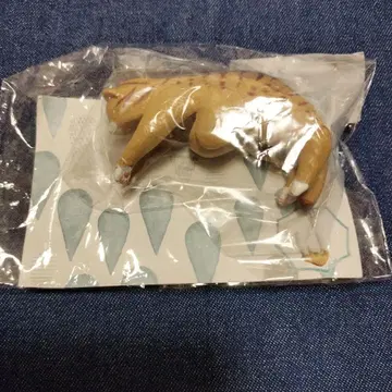 펠리시모 고양이부 다라~른 고양이 우산 택 브라운 태비