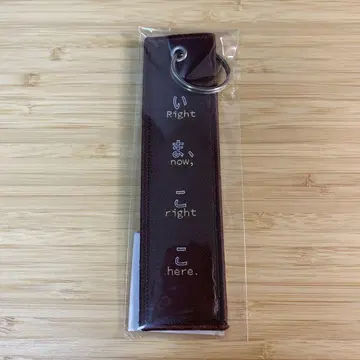 양문학 이마, 코코 플라이트 택 키링 미개봉 새상품