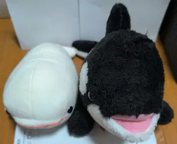 카모가와 씨월드 범고래와 벨루가 봉제 인형