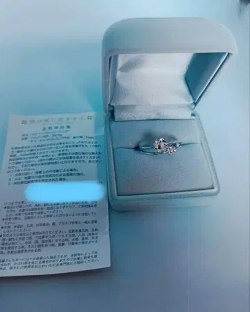 나는 여동생을 사랑해 실버 클로버 반지