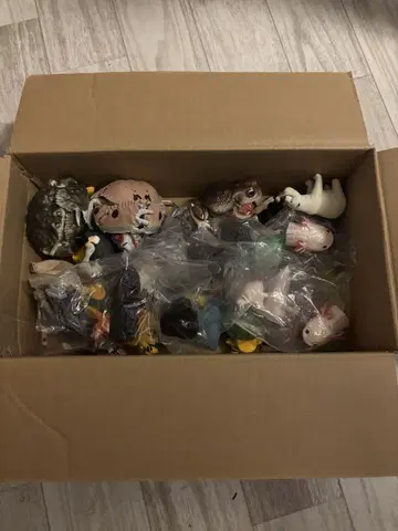 생물대도감 동물 캡슐 토이 약 35개