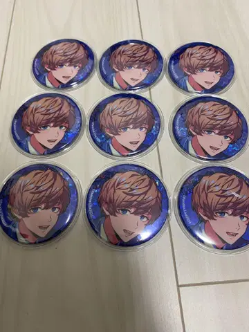 파라라이 사계절 BIG 캔뱃지 ANTHEM 9개