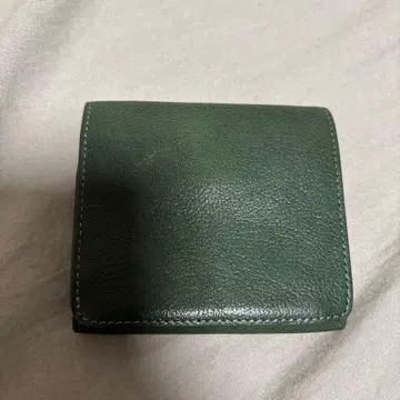 FabriZIO 그린 컬러 접이식 지갑