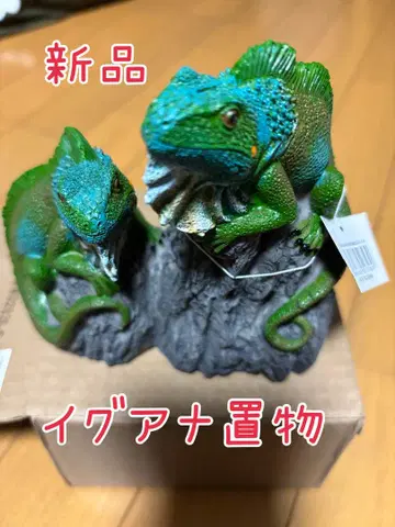 [ 새상품 ] 이구아나 입상
