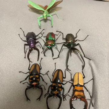 생물 대도감 묶음 판매