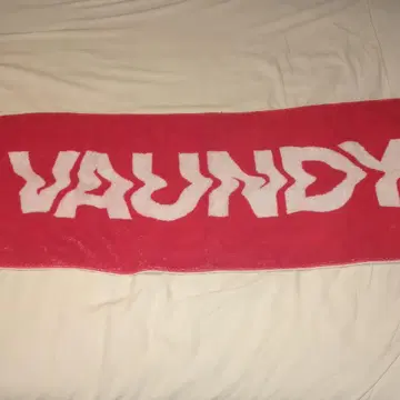 VAUNDY 빨간색 타월