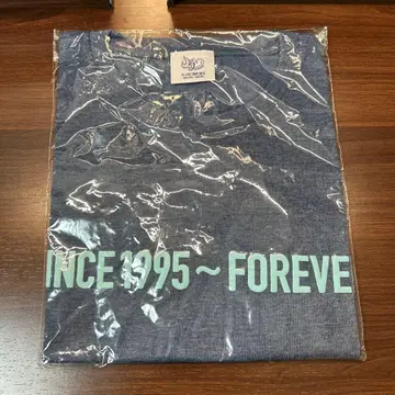 V6 LIVE TOUR 2015 -SINCE 1995- 라이브 T셔츠