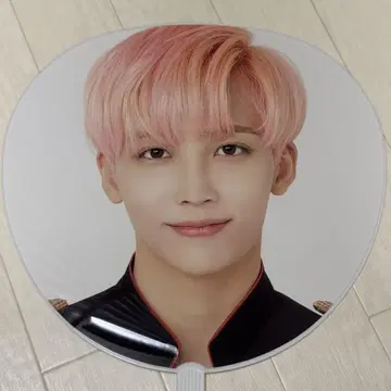 SEVENTEEN 정한 부채
