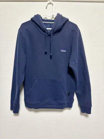 Patagonia 후드티