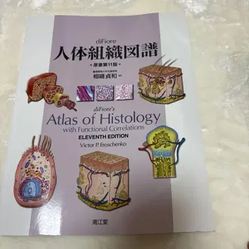 diFiore 인체 조직 도감