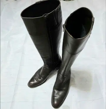 Pitti 피티 다크 브라운 가죽 롱 부츠