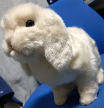 13일 발송 미사용 새상품 토끼 홀랜드롭 봉제 인형 HANSA