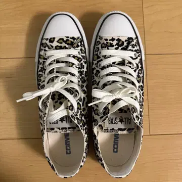 컨버스 올스타 25cm