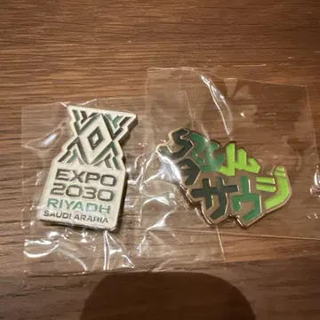 만국박람회 EXPO 2030 사우디아라비아 RIYADH 핀 배지 2개