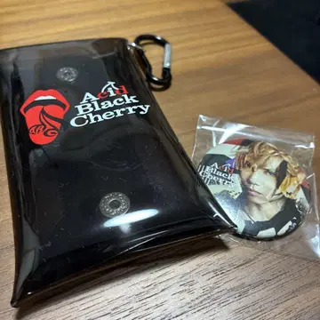 Acid Black Cherry 캔뱃지 클리어 멀티 케이스 yasu