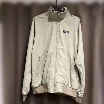 Patagonia 라이트 그레이 마운틴 후드티