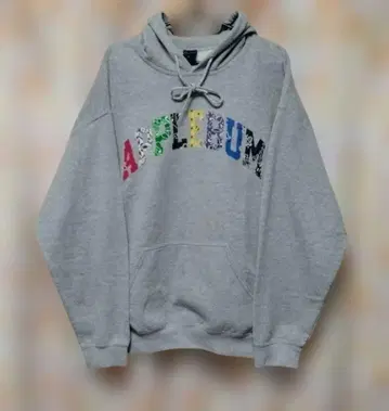 APPLEBUM 반다나 로고 후드 맨투맨 사이즈 L
