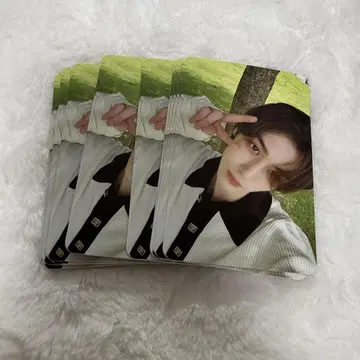BOYNEXTDOOR SHOPEE kpopmerch 50장 이한