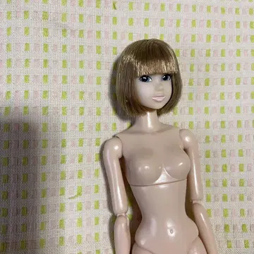 세키구치 momoko 본체만