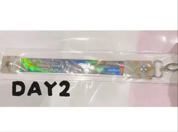 트위스테 브레이징 주얼 브레쥬 회장 한정판 참 DAY2