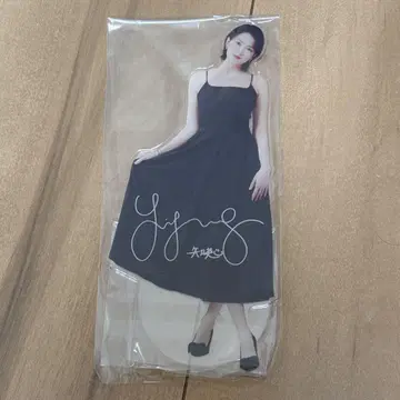 KARA 지영 디너쇼 SS석 아크릴 스탠드