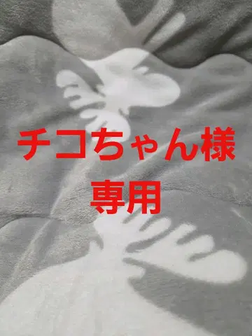 [ 새상품 ] 켈로그 스카잔 XL 사이즈