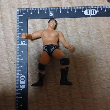 레슬러 피규어 약 10cm 프로레슬링