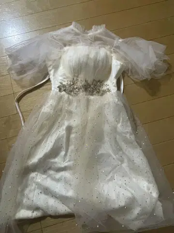 샴페인 화이트 튤 슬리브 드레스