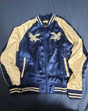 자수 독수리 디자인 스카잔 블루/실버