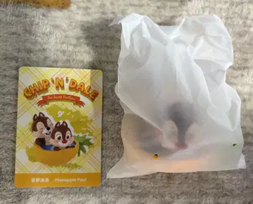 팝마트 칩과 데일 피규어 2