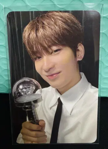 SEVENTEEN RIGHT HERE CARATZONE 원우