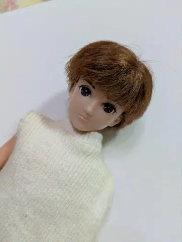 리카짱 보이프렌드 사쿠라이 하루토 군 하루토 군 리카짱 인형