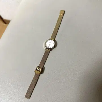 DANIEL WELLINGTON 여성용 손목시계 로즈 골드