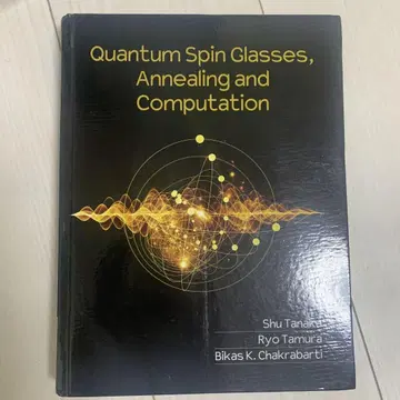 Quantum Spin Glasses, Annealing and Comp