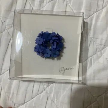 grin 서클 브로치