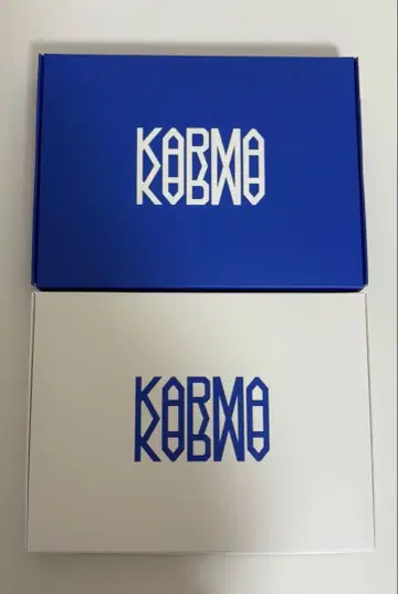 스트레이 키즈 karma