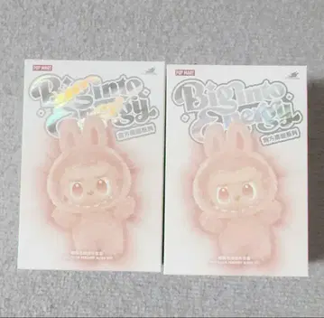 즉시 구매 가능 라부부 Labubu Big into Energy 2상자