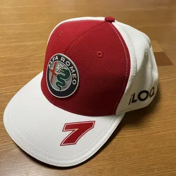 F1 2021년 알파 로메오 캡 라이코넨 모델
