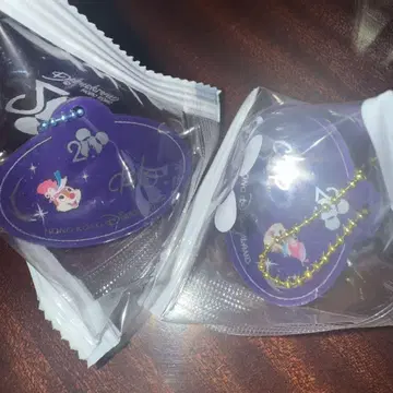 칩 앤 데일 아크릴 키링 홍콩 디즈니랜드