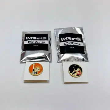 하이큐!!전 핀즈 히나타 쇼요 쿠로오 테츠로