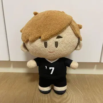 하이큐!! 요리누이 미야 아츠무