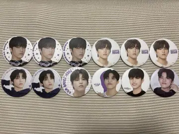 treasure 정우 캔뱃지 세트