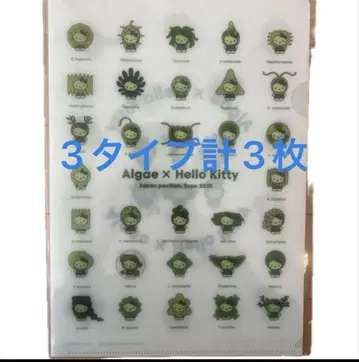 Algae x Hello Kitty 클리어 파일 3장 세트
