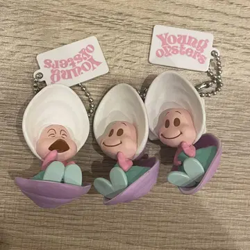 영 오이스터 묶음 판매