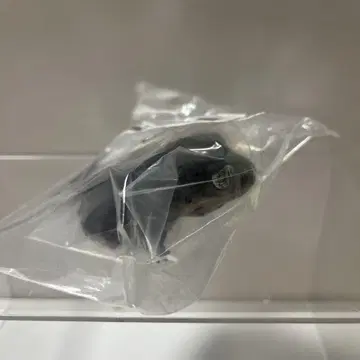 생물대도감 소프트 비닐 컬렉션 레오파와 크레스 레오파드게코 (블랙) 온