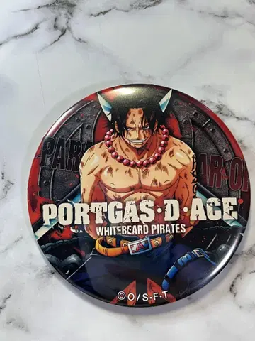 에이스 동료 캔뱃지 원피스 ONEPIECE